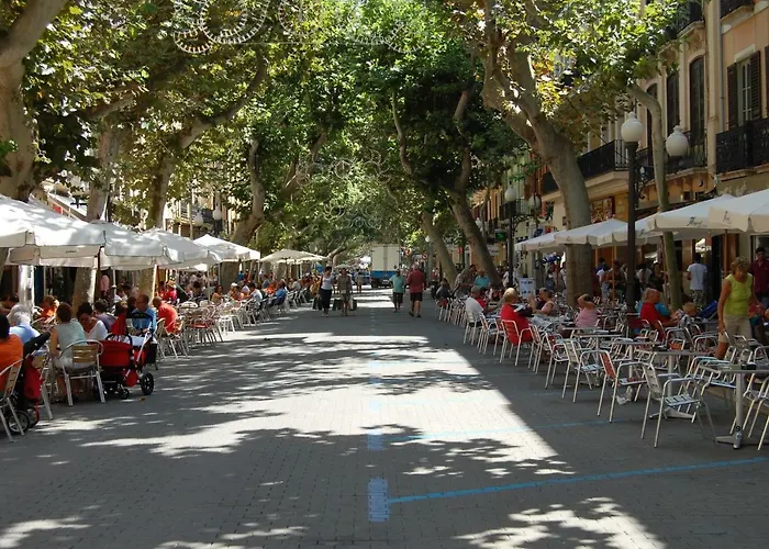 Palm Διαμέρισμα