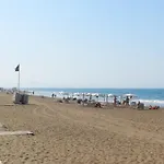 Palm * Dénia