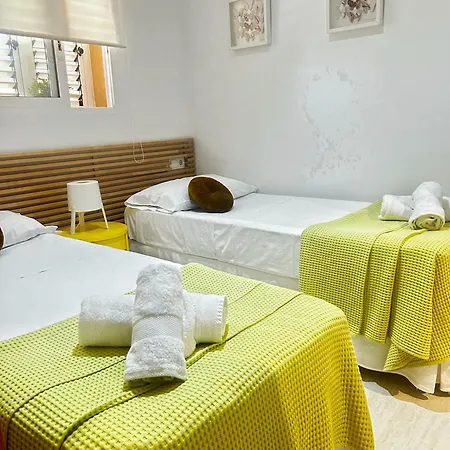 Palm Apartment